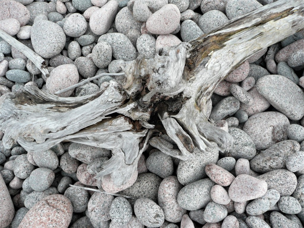 Ausgebleichtes Strandgut
