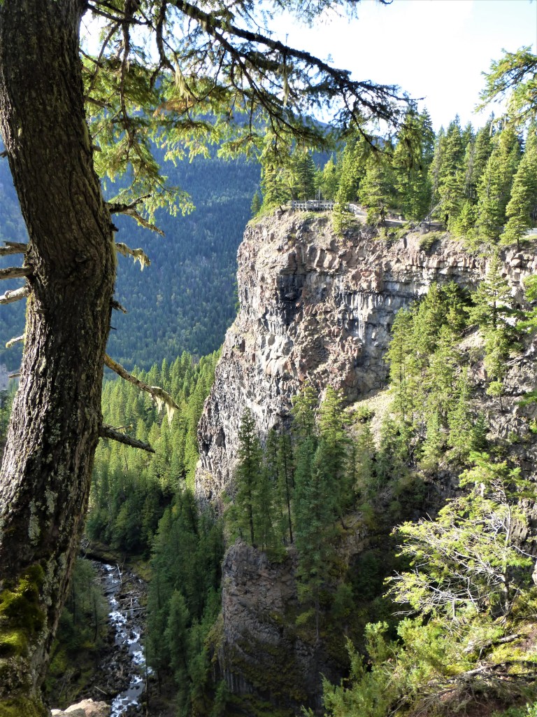 Schlucht des Murtle River