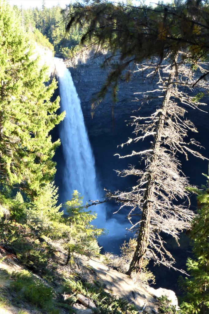 The Helmcken Falls