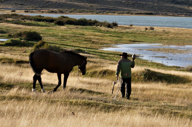 Ein Gaucho mit seinem Pferd
