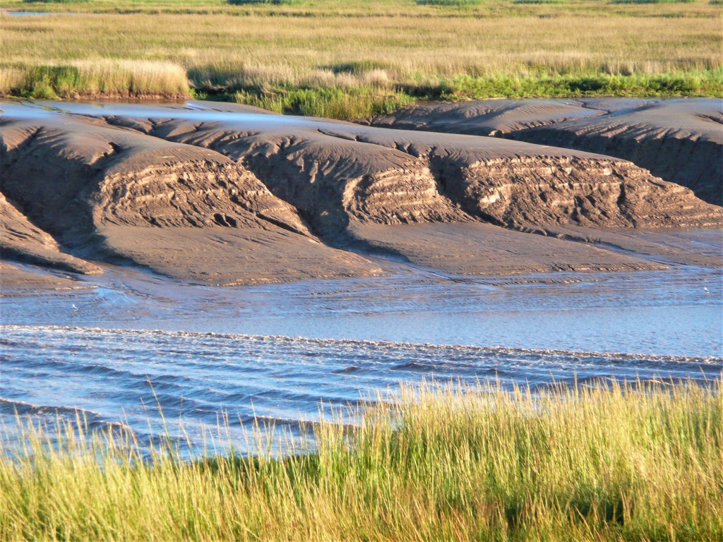 Tidal bore in Moncton… wenn das Wasser flußaufwärts strömt