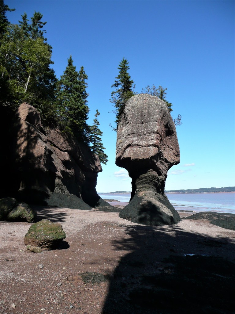 Flowerpot Rocks bei Ebbe