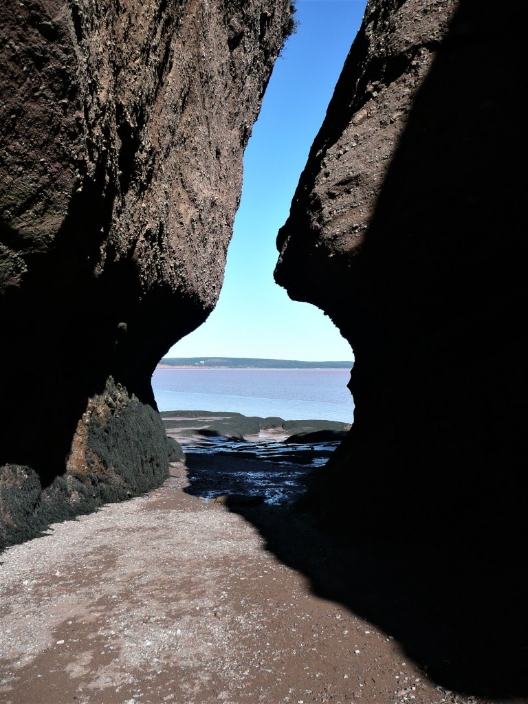 Ungewöhnliche Perspektive