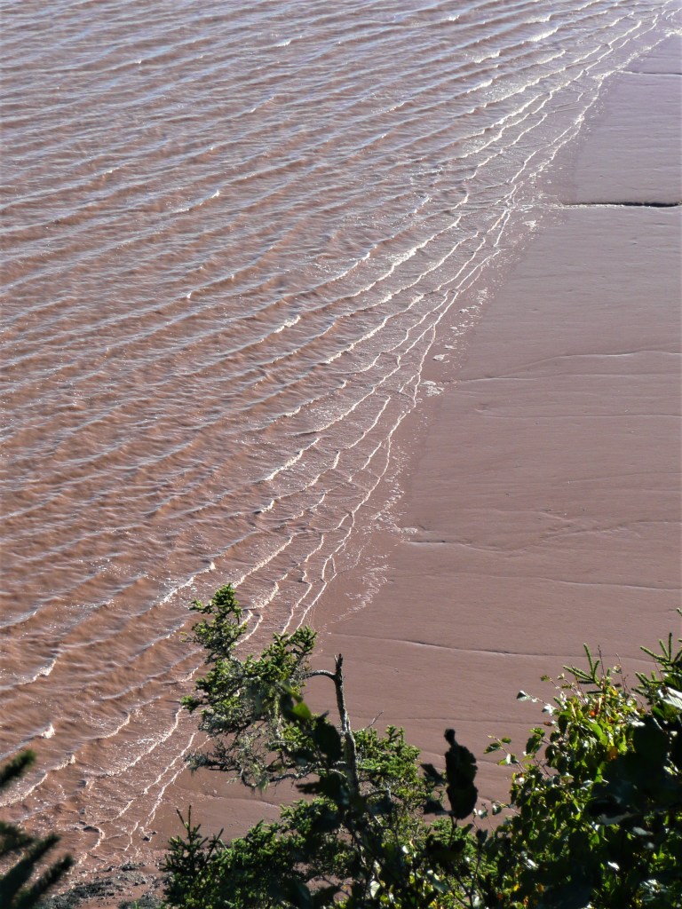 Die Flut steigt… rasant