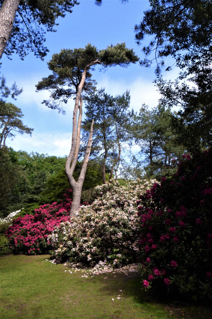 Bois des Moutiers, Arts and Crafts House and Gardens