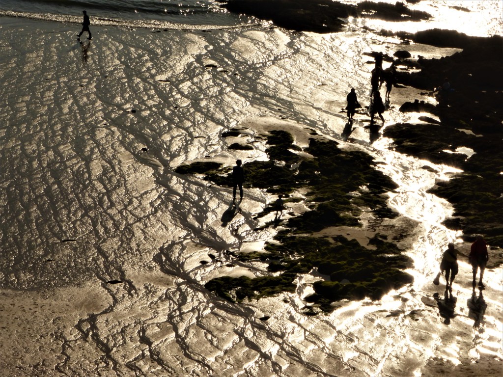 Muschelsammeln bei Ebbe unterhalb der Stadtmauer von St. Malo