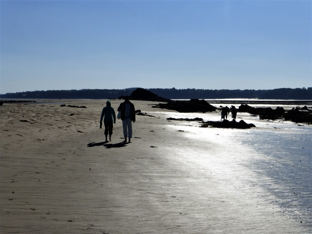 Wanderung auf dem Meeresboden