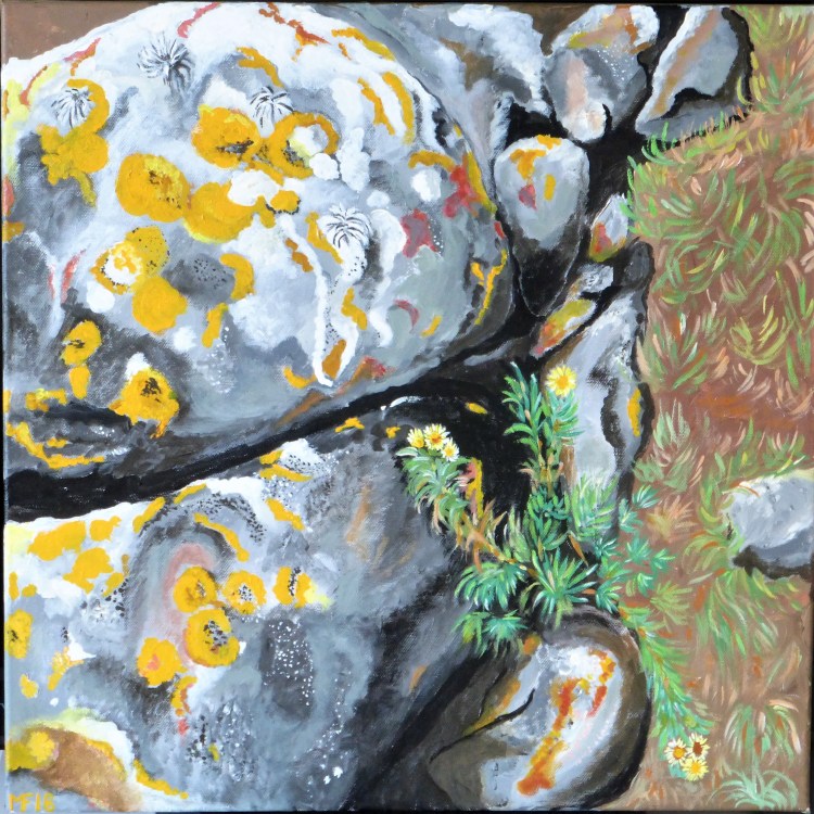 Stilles Leben 2 (50x50cm)