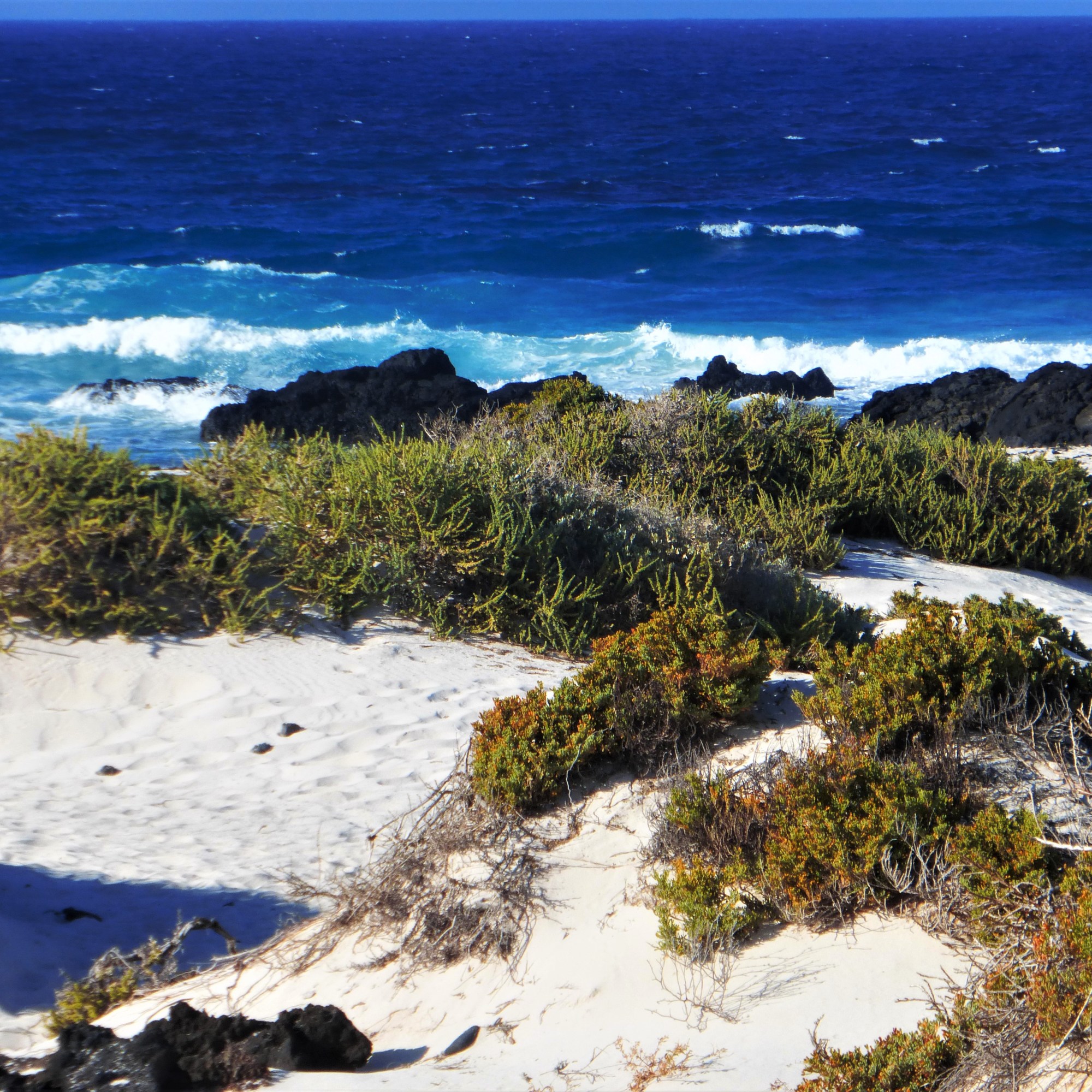 Lagune im Nordosten: Schwarze Lava, weißer Sand