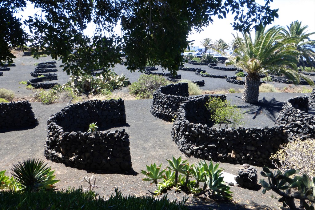 Lavamulden-Struktur (Nahaufnahme)