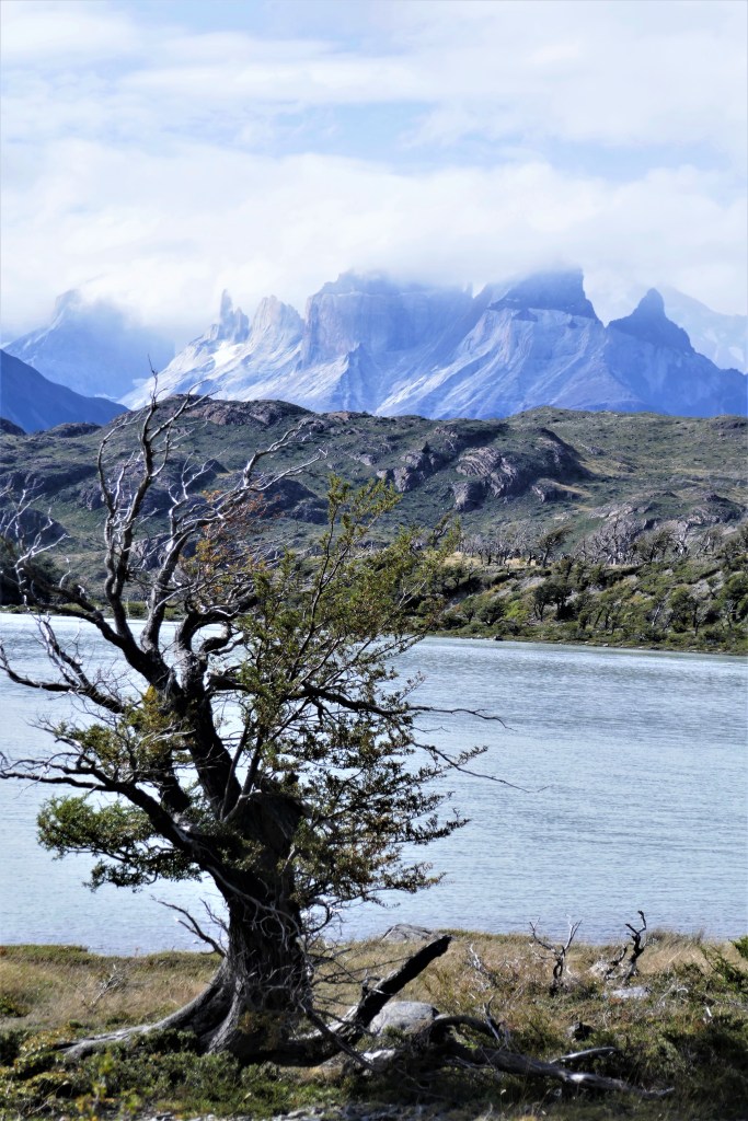 Am Ufer des Lago Grey