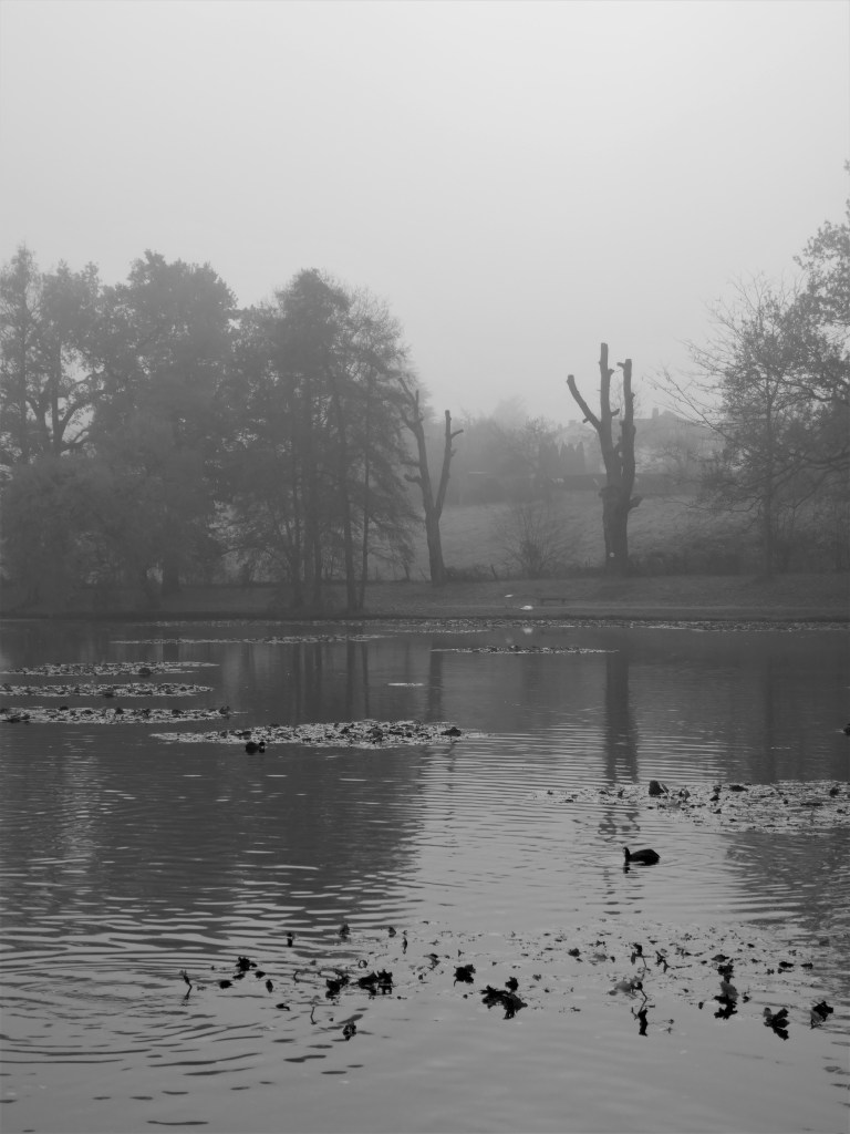 Nebelverhangener Mattheiser Weiher in Trier