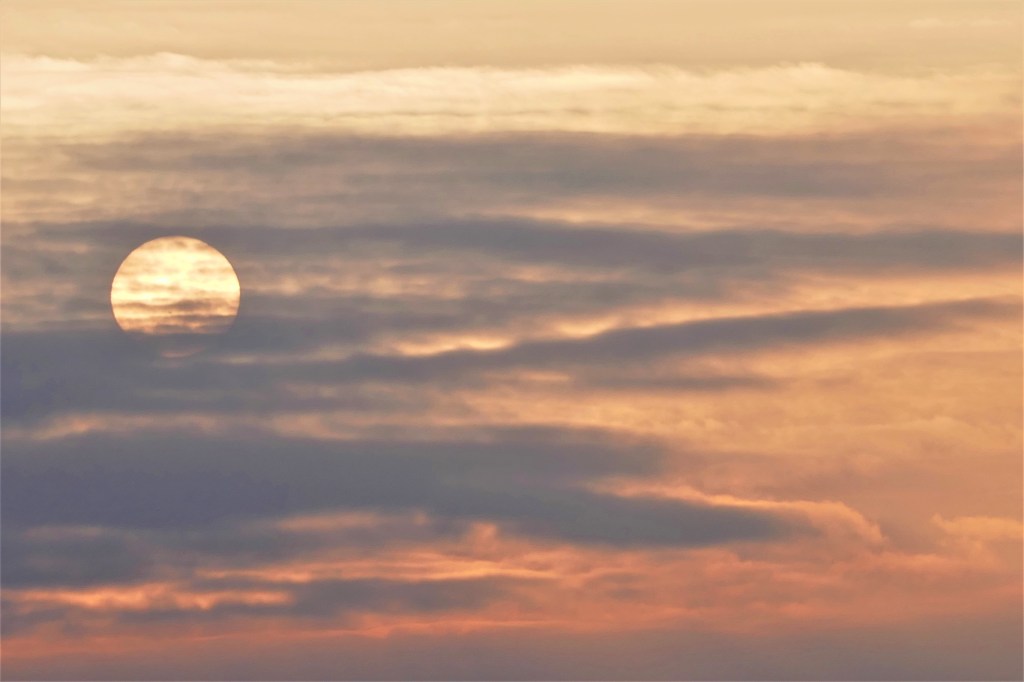Nebelsonne über dem Moseltal