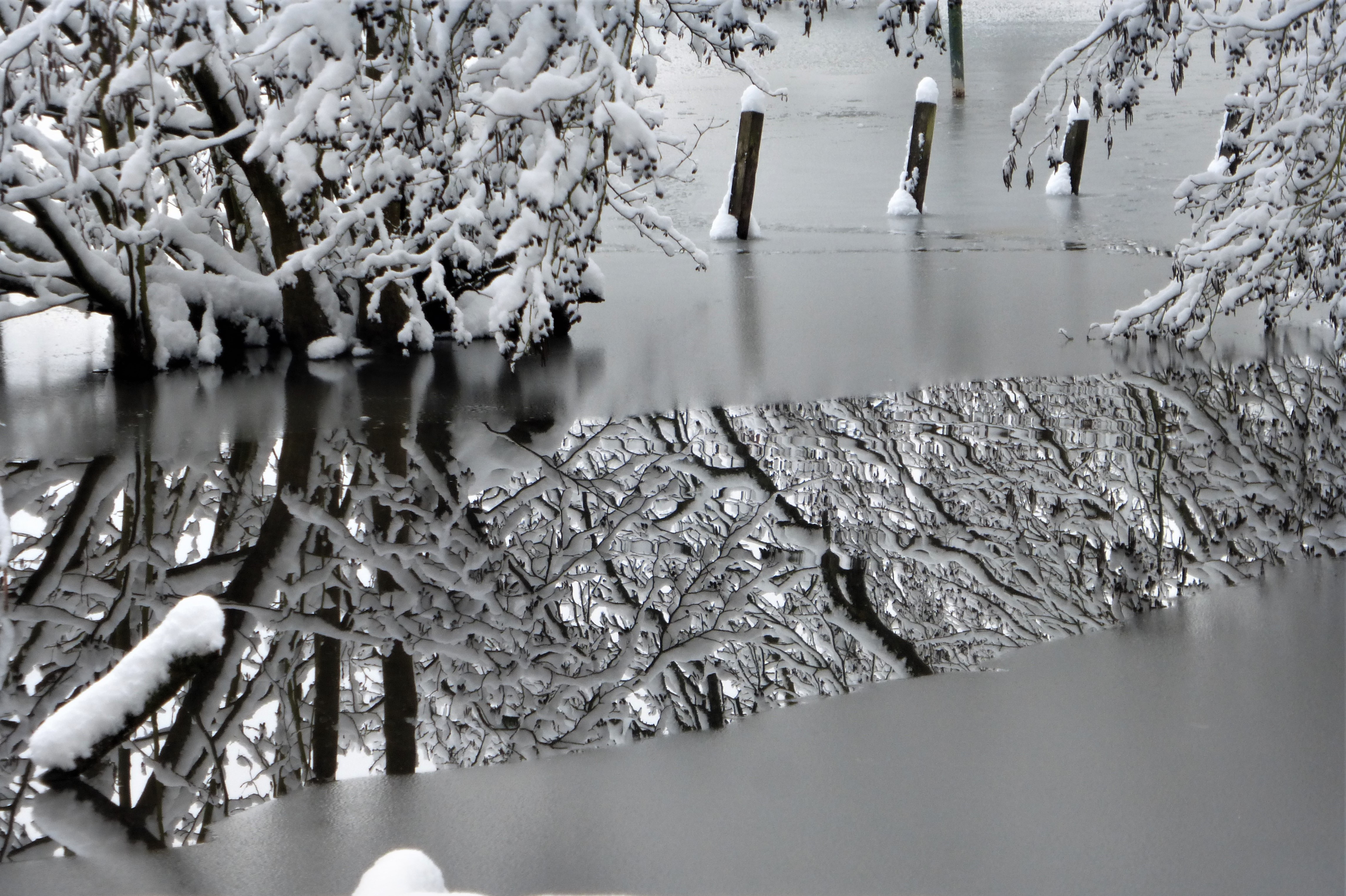 Schwarz-Weiß-Malerei
