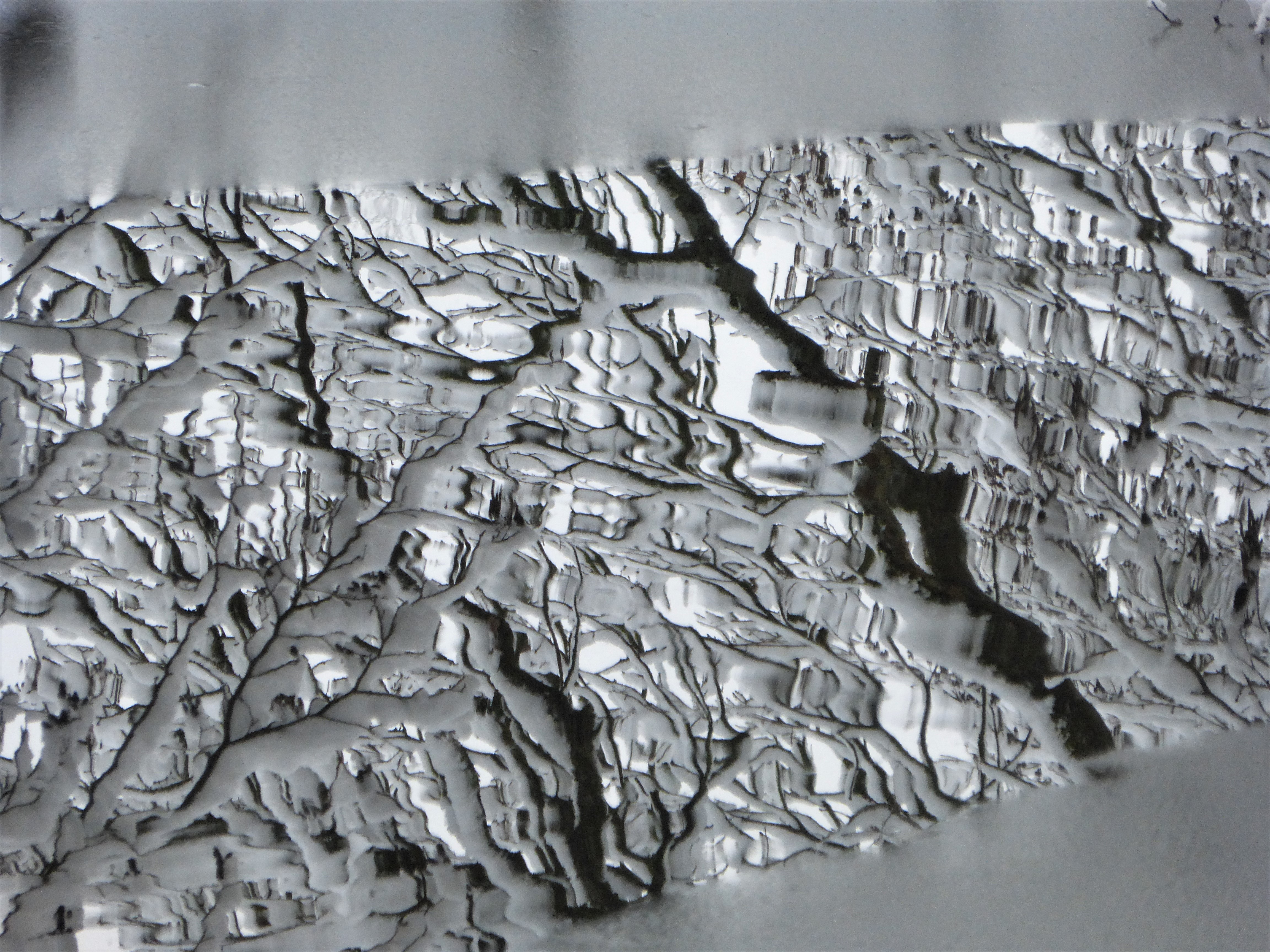 Schwarz-Weiß-Malerei