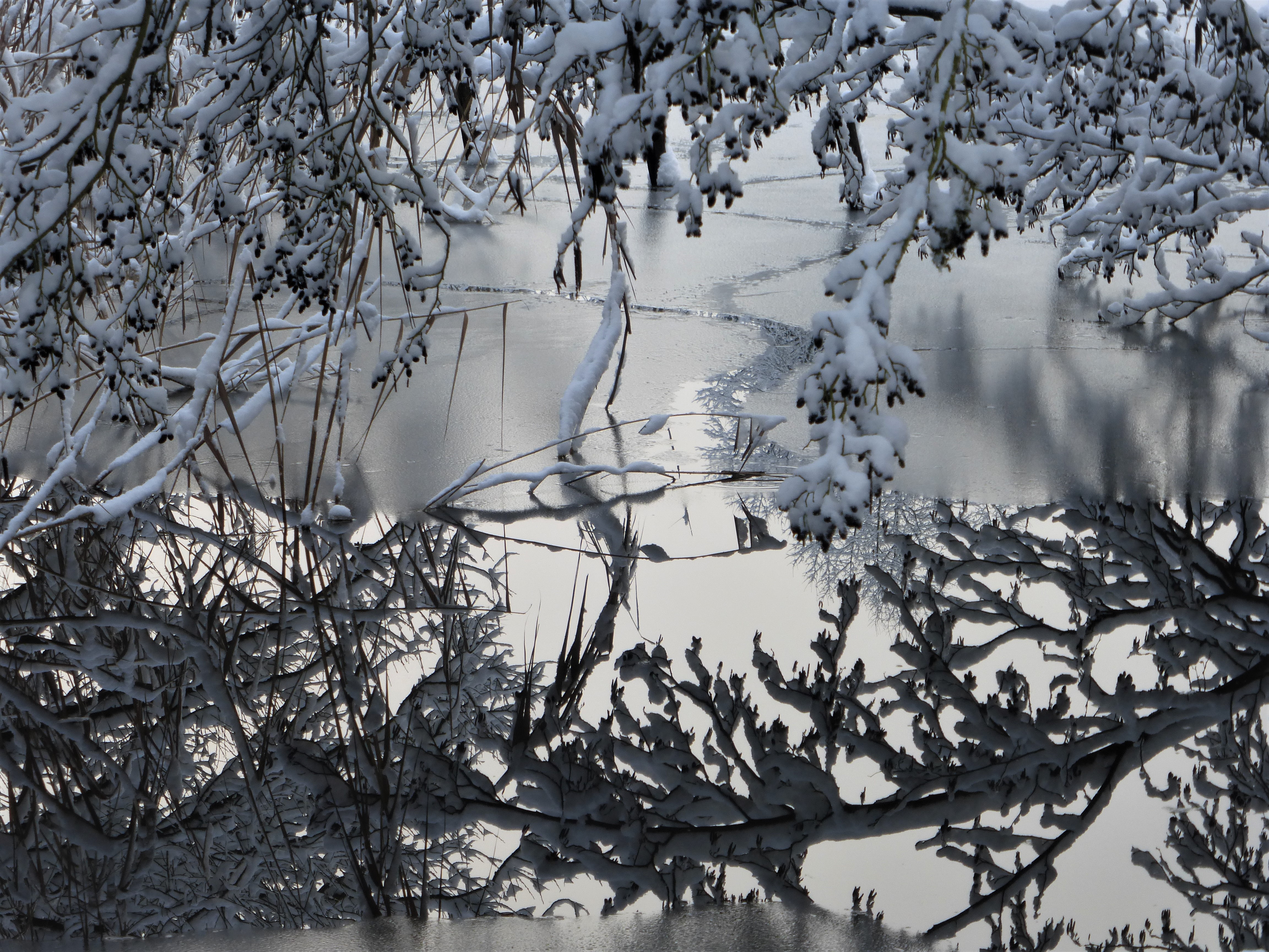 Schwarz-Weiß-Malerei