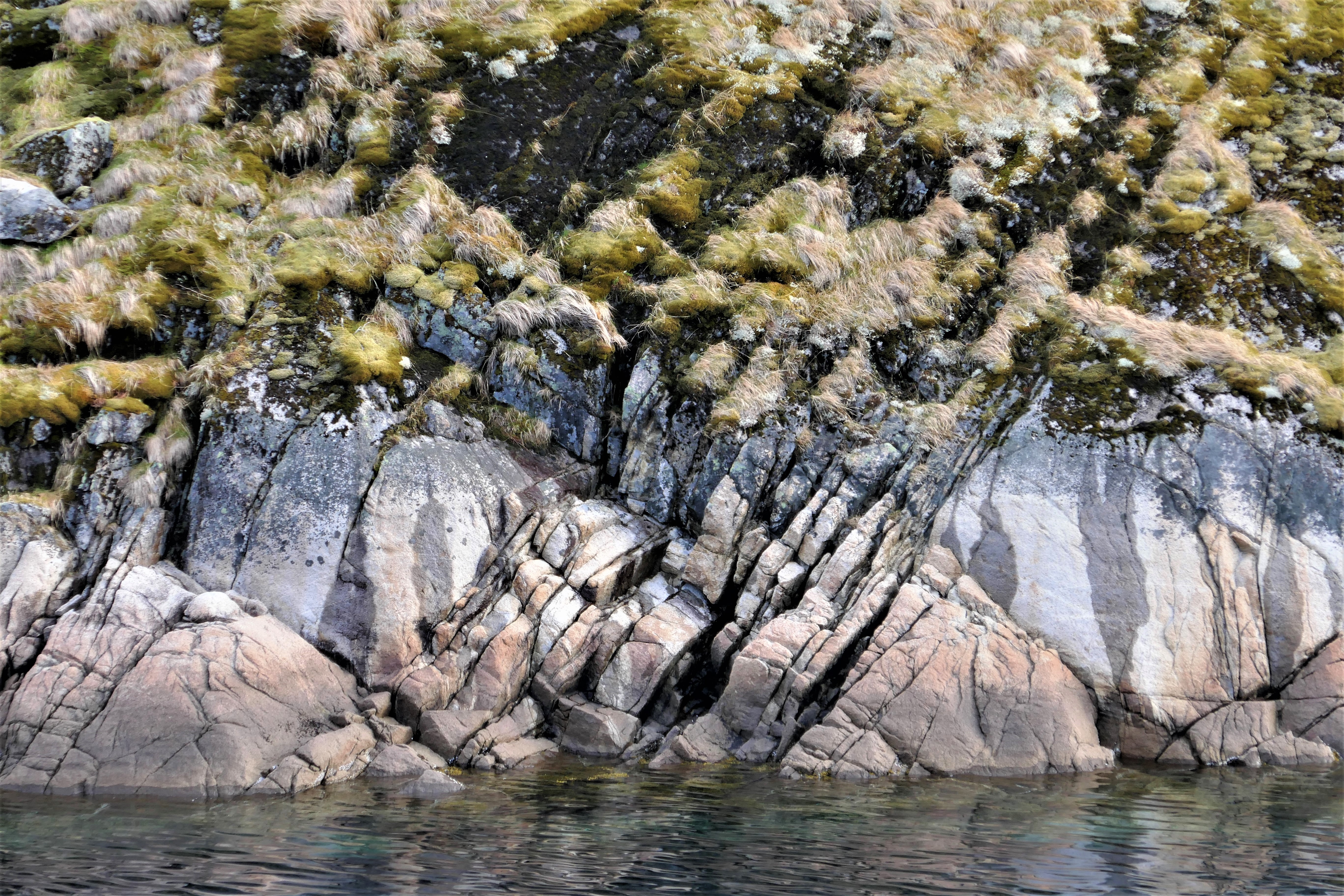 Felsmuster und gefrorene Grasbüschel