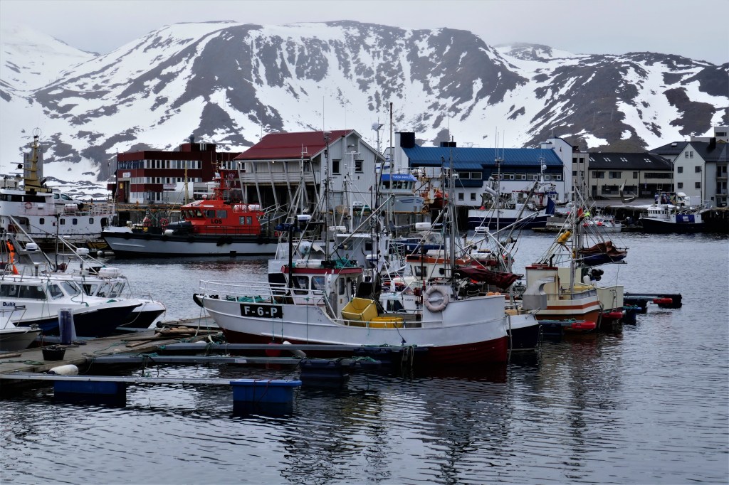 Der nördlichste Fischerei-Hafen der Welt, weil er ganzjährig eisfrei ist