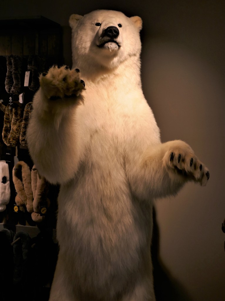 Ein Eisbär hat eine beachtliche Größe: Dieser war zum Glück nur präpariert