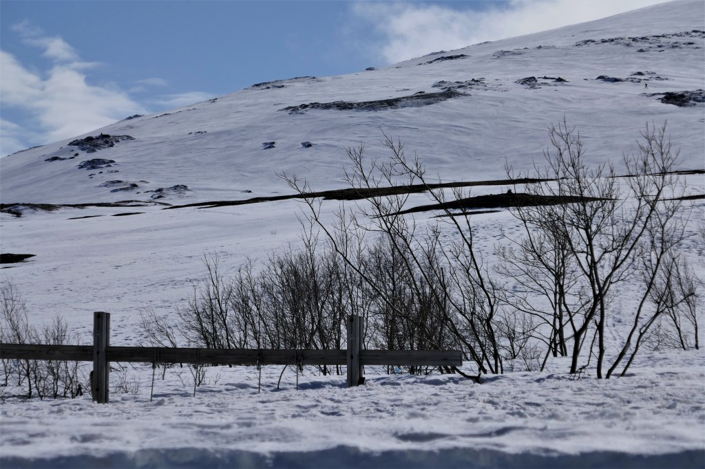 Fährt man mit der Seilbahn auf den Fjellheisen, landet man mitten in einem Skigebiet