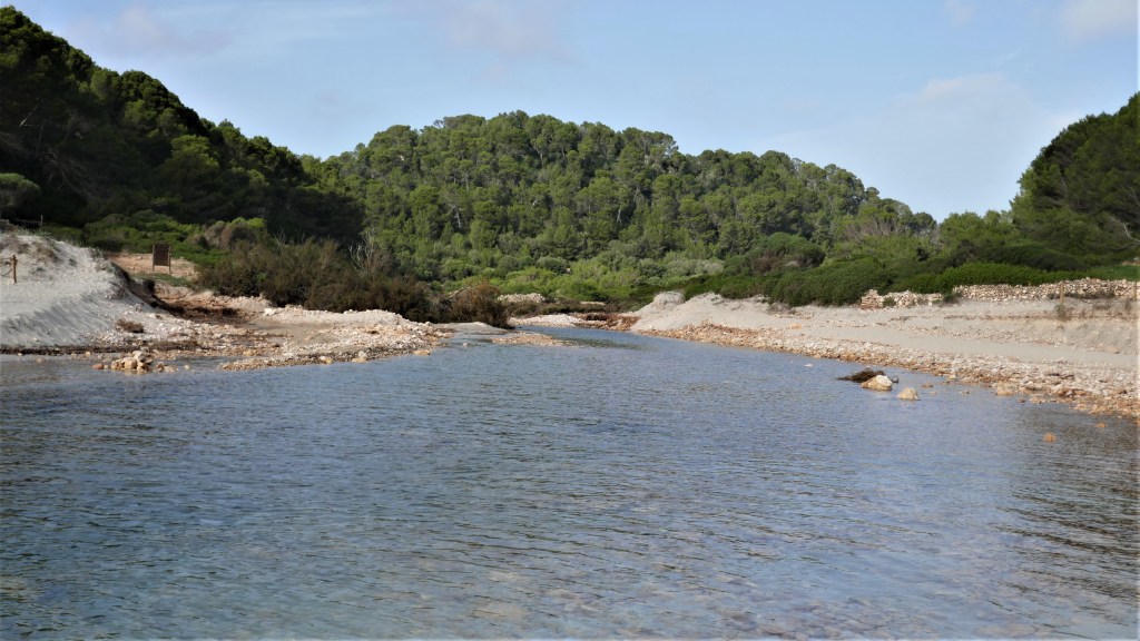 Süßwasser trifft auf Salzwasser