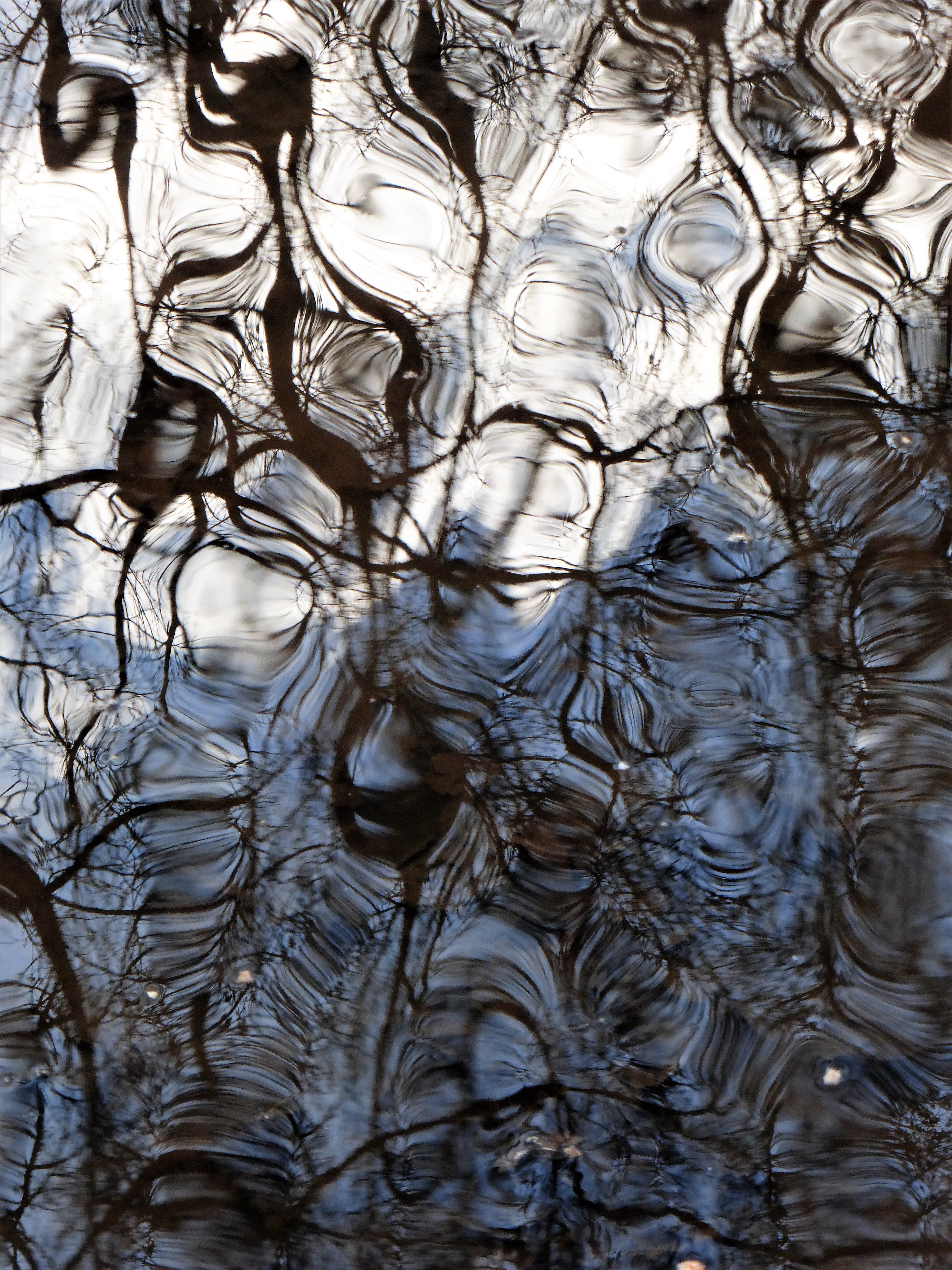 Mattheiser Weiher Trier 2