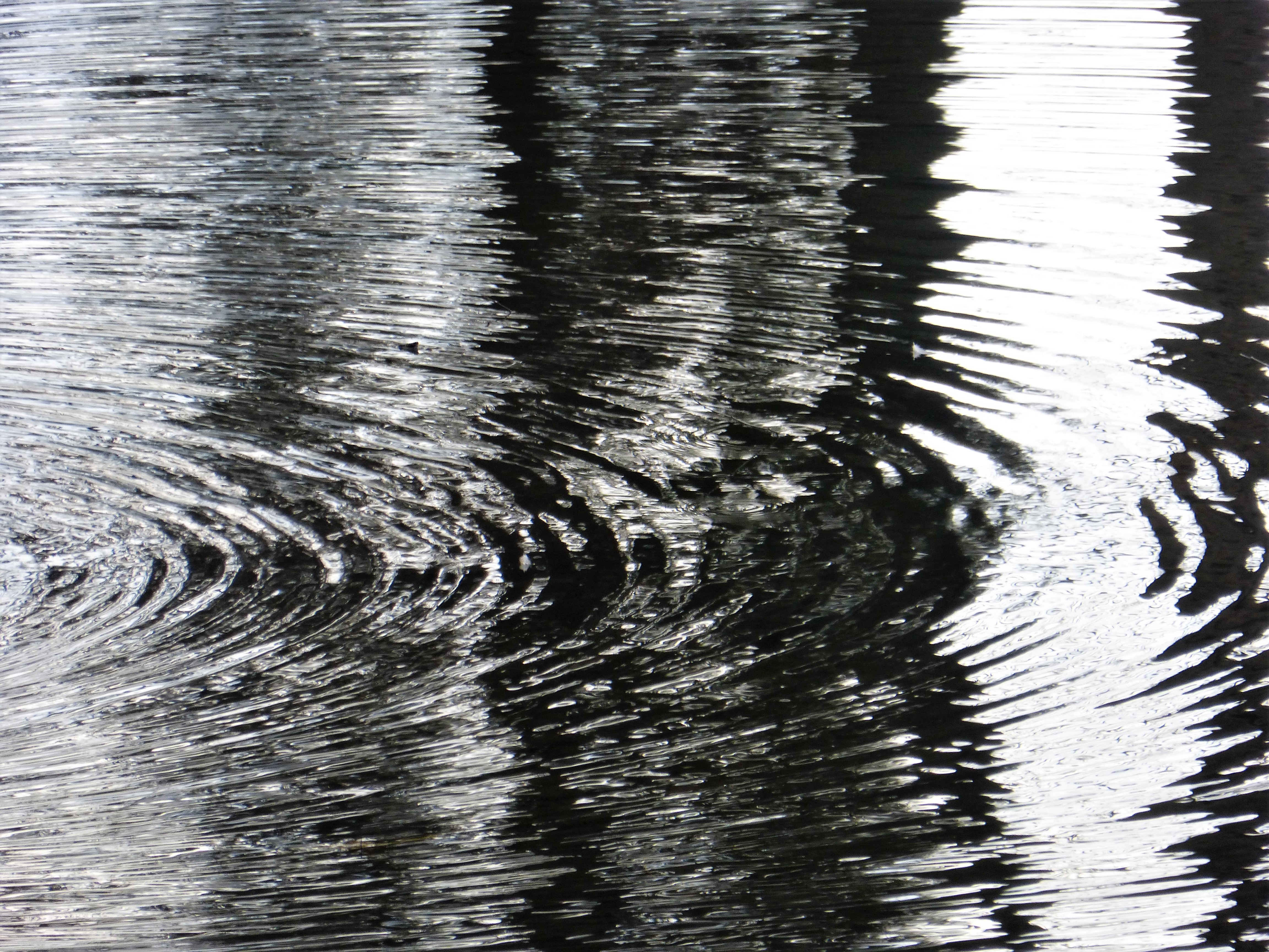 Mattheiser Weiher Trier 3