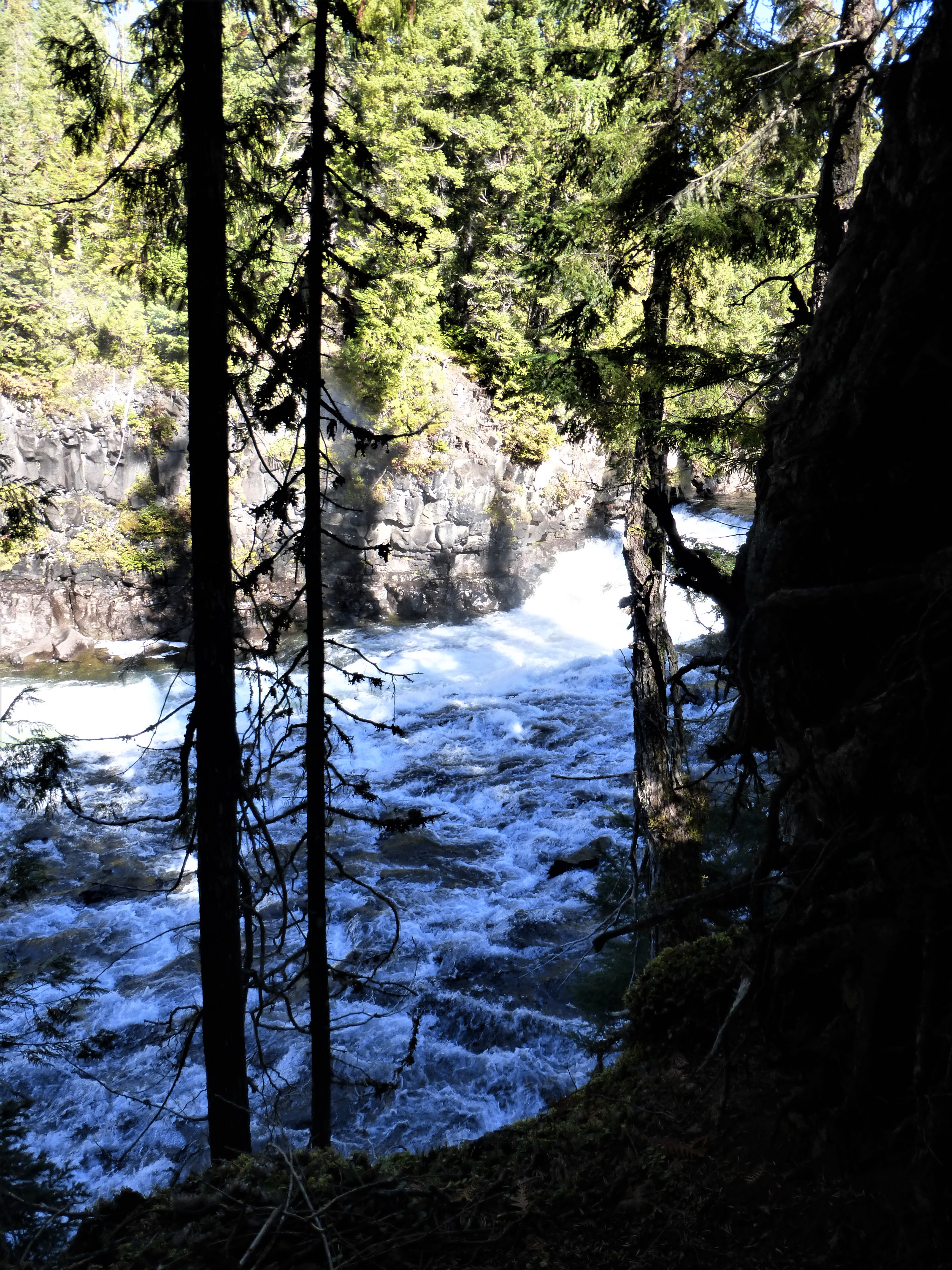 Murtle River (British Columbia)
