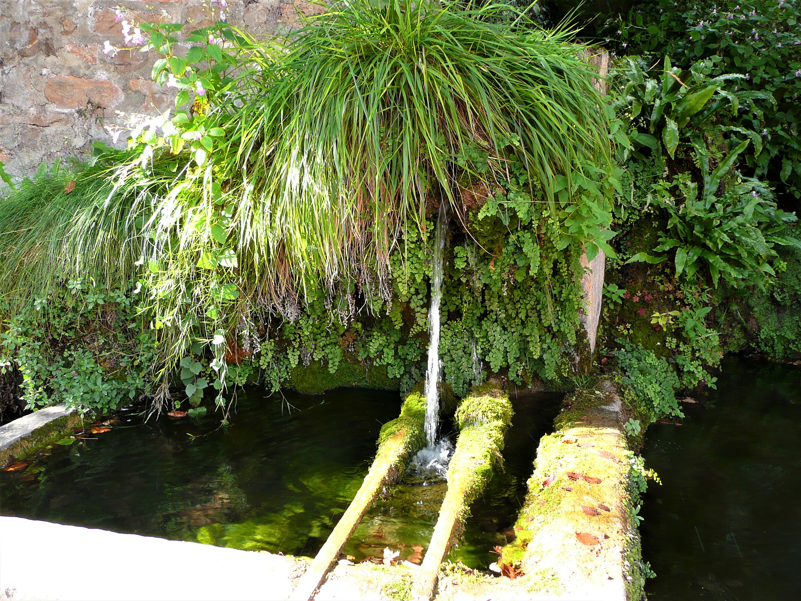 Quelle bei Saint-Austremoine im Aveyron