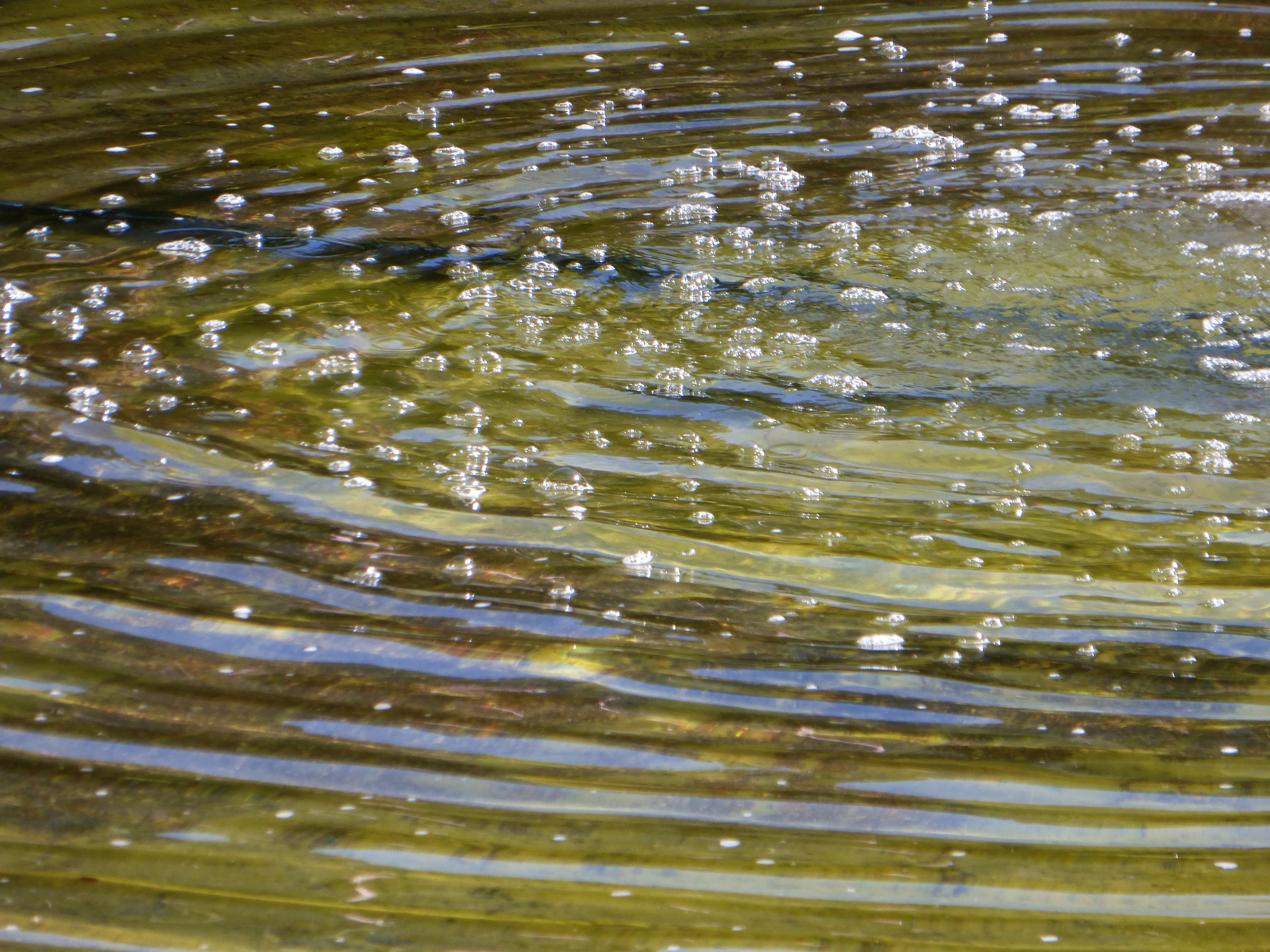 Springbrunnen im Palastgarten Trier