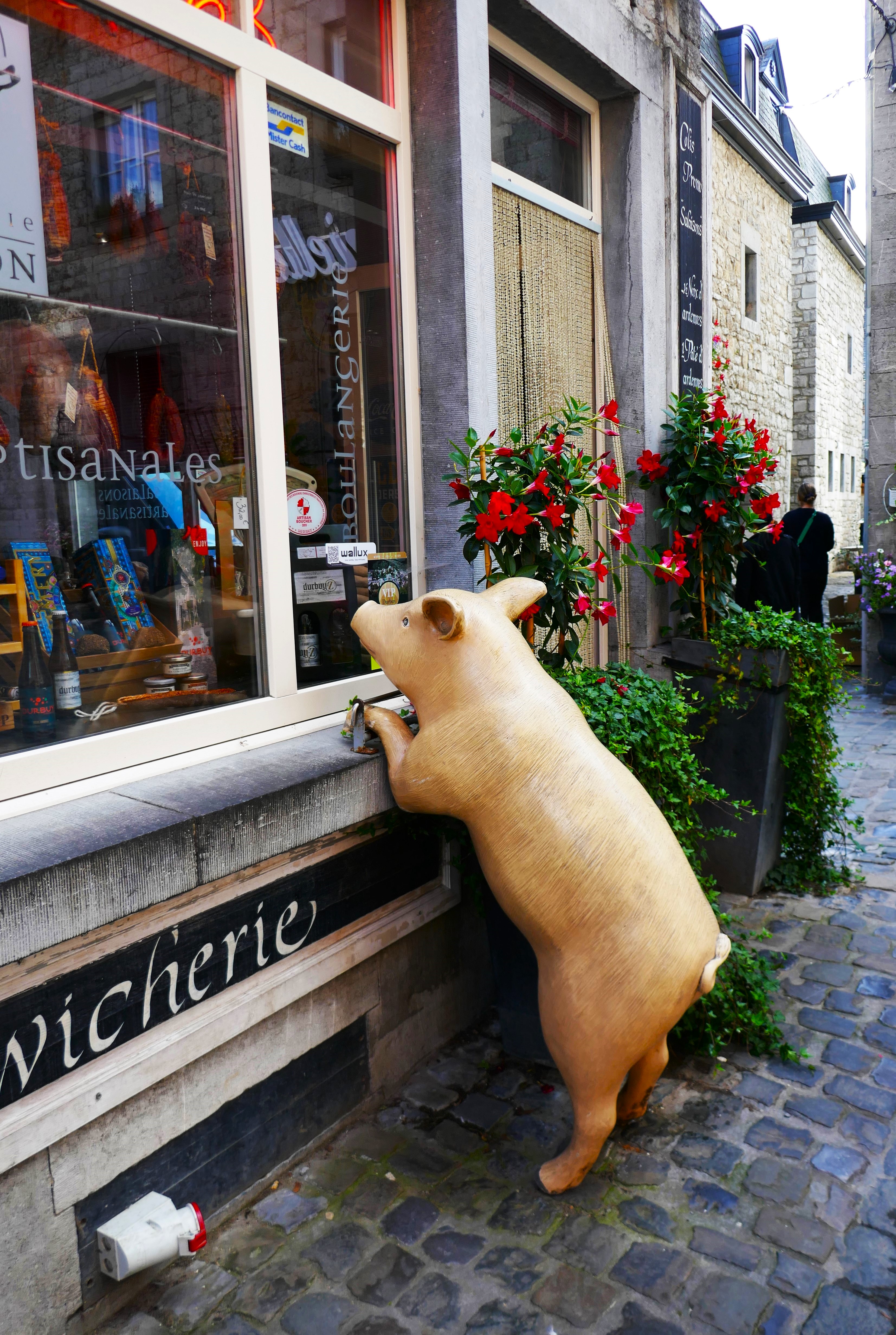 Das Schweinchen guckt in den Metzgerladen