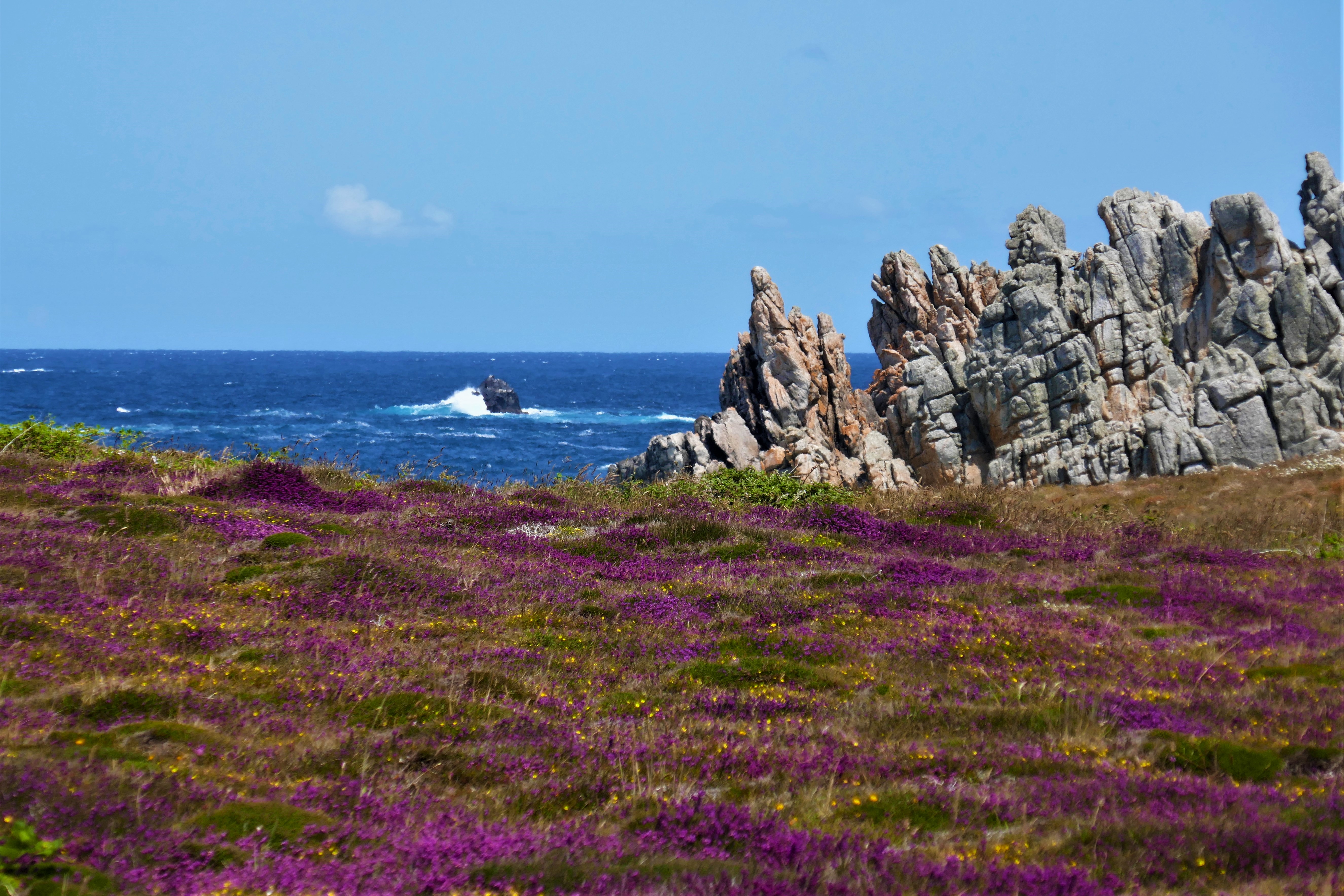 Zerklüftete Felsen und blühende Heide