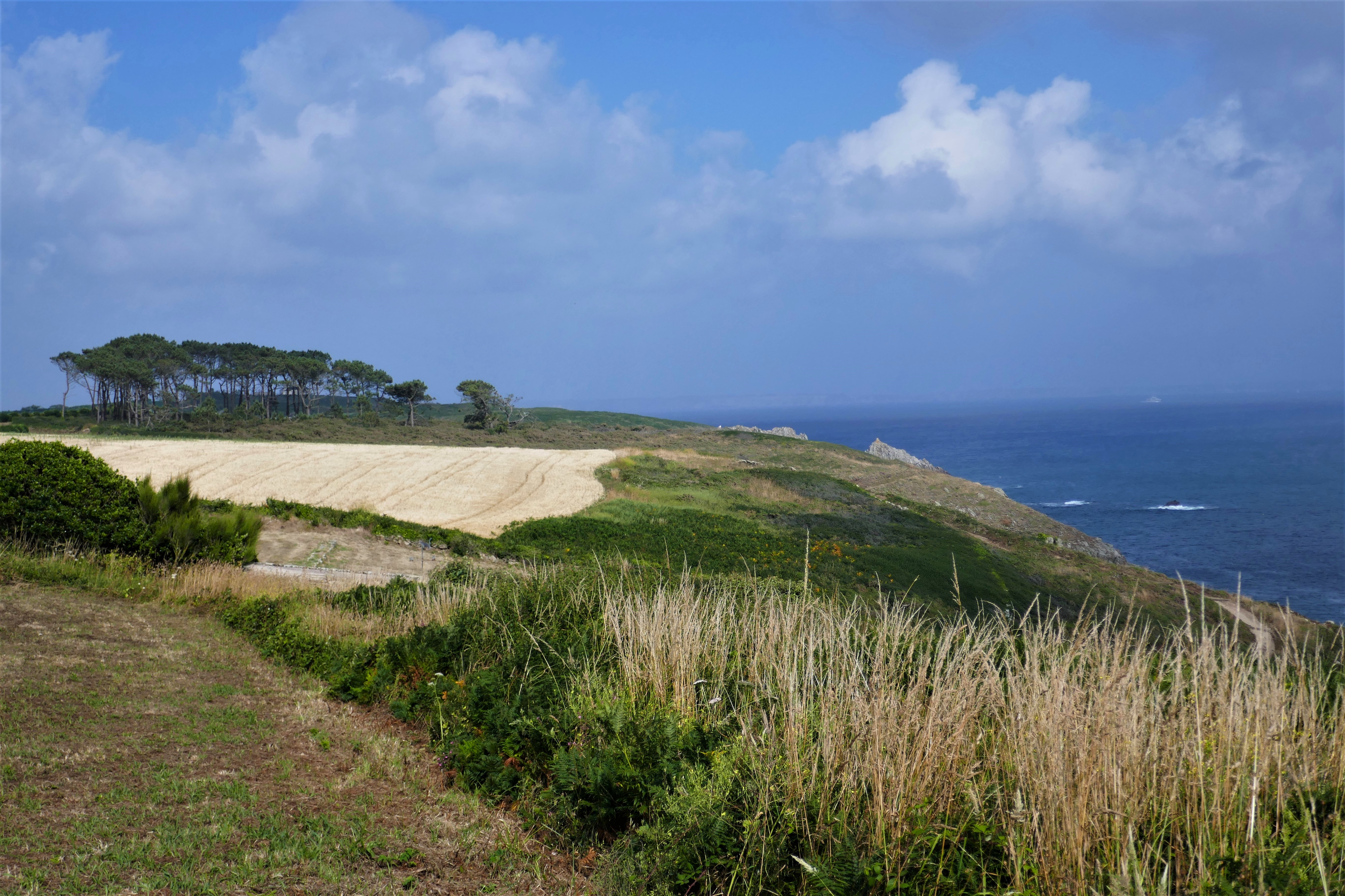 Landschaft bei Plougonvelin