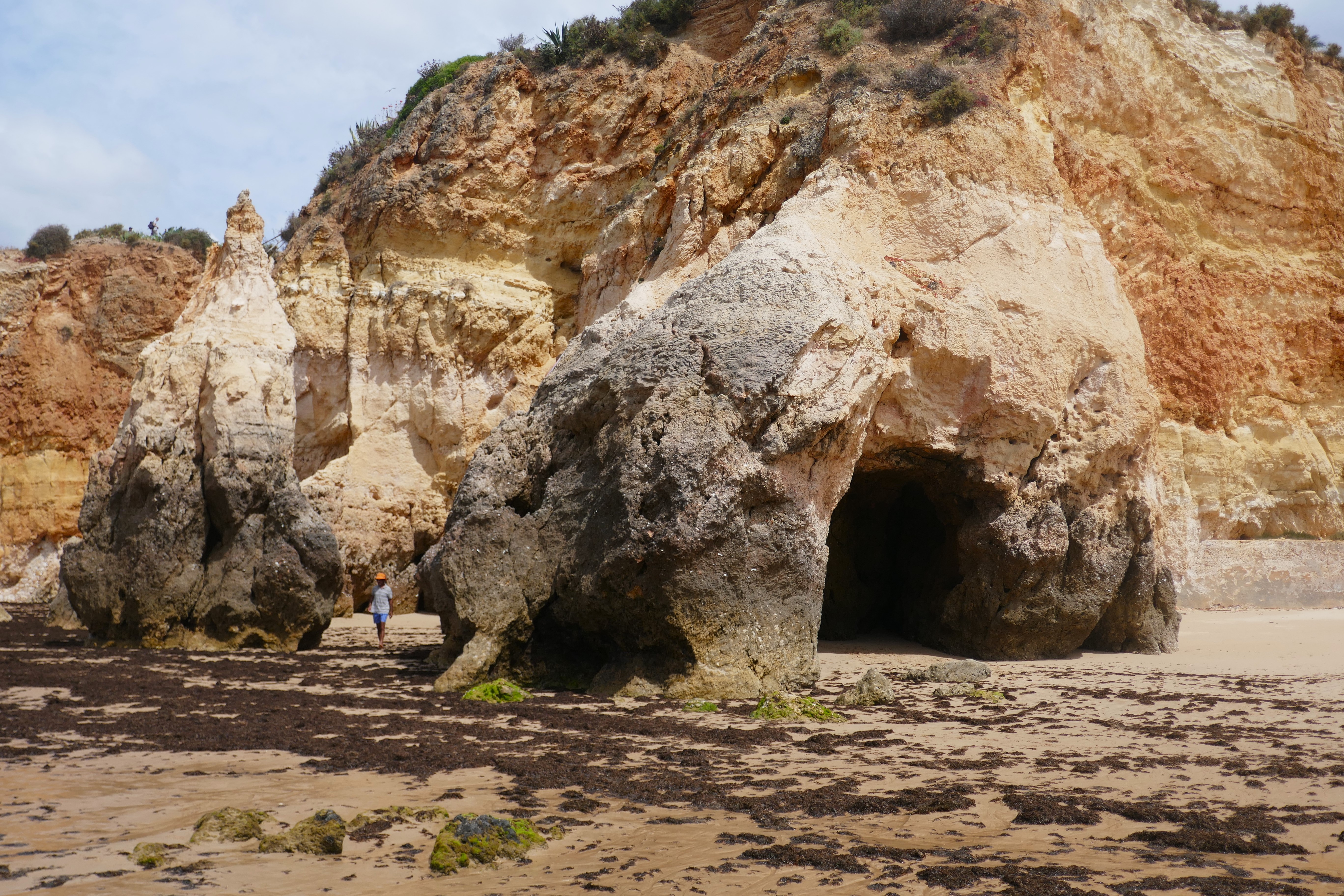 Viele Algen und "Höhlen"