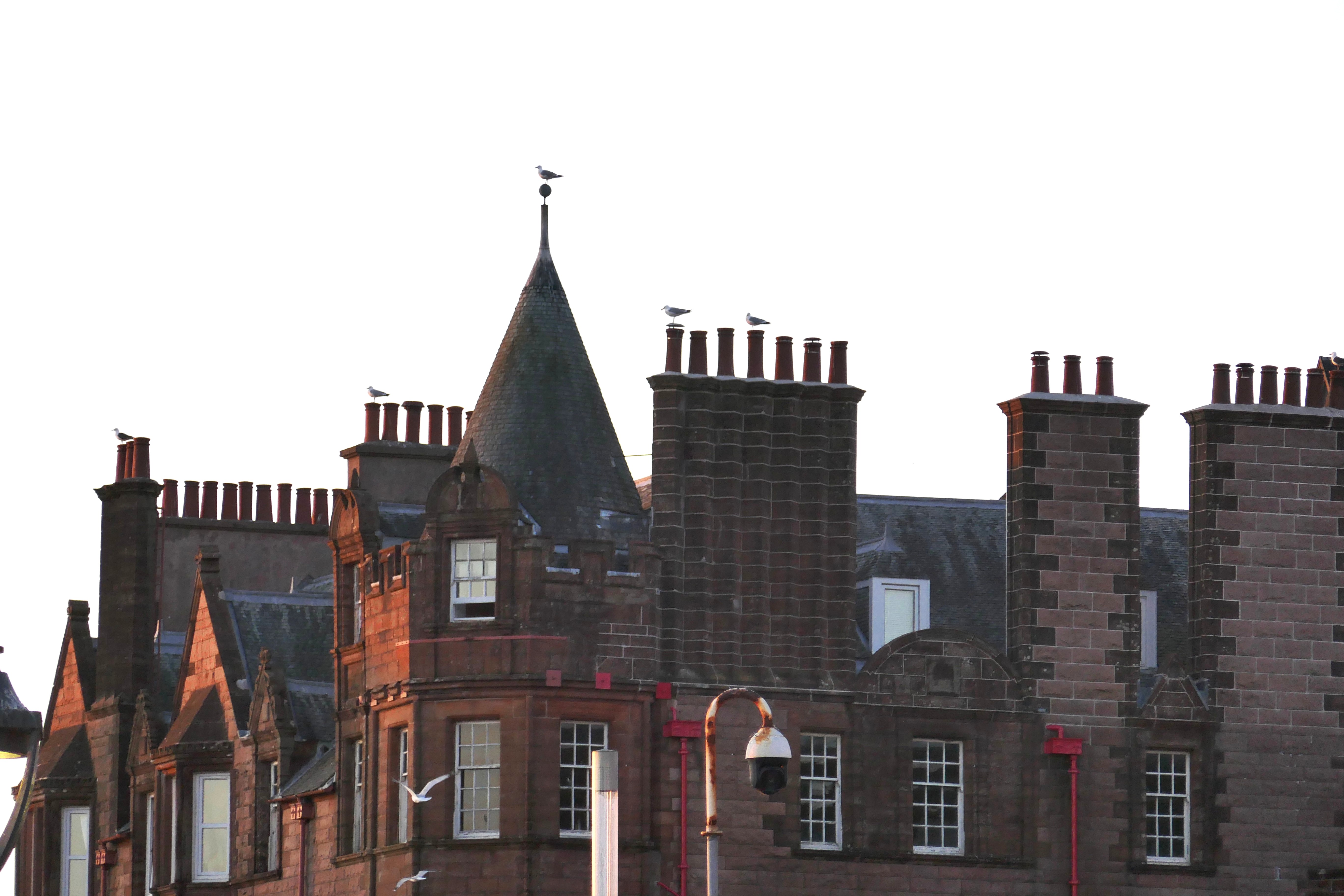 Schornsteinparade mit Möwen