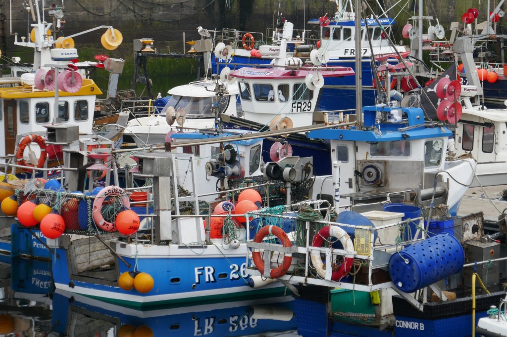 Gedränge im Hafen von Fraserburgh