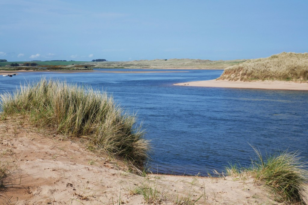 Naturschutzgebiet mit Robben bei Newburgh